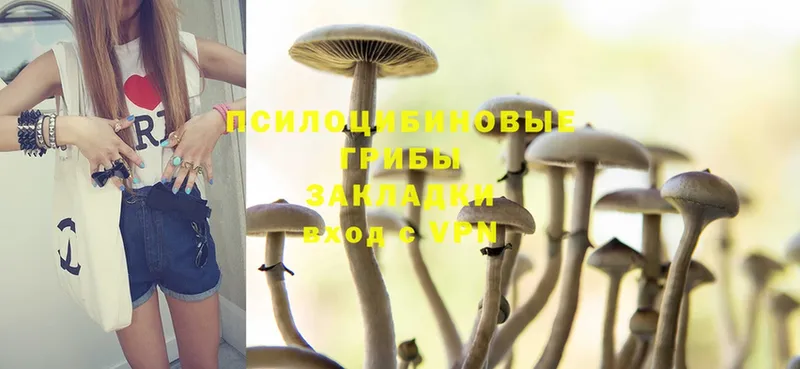 Галлюциногенные грибы MAGIC MUSHROOMS  площадка наркотические препараты  Бутурлиновка 